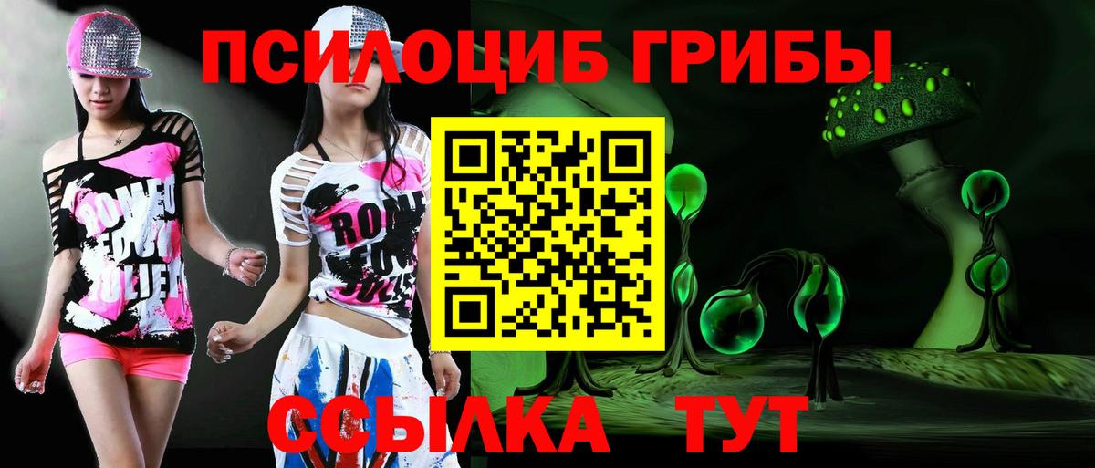 Гусев  Галлюциногенные грибы мухоморы  Вход с VPN 