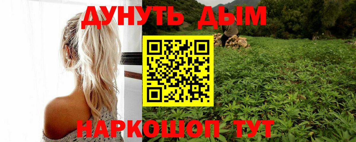 Бошки марихуана план  Конопля VHQ  Вход с VPN  Гусев 